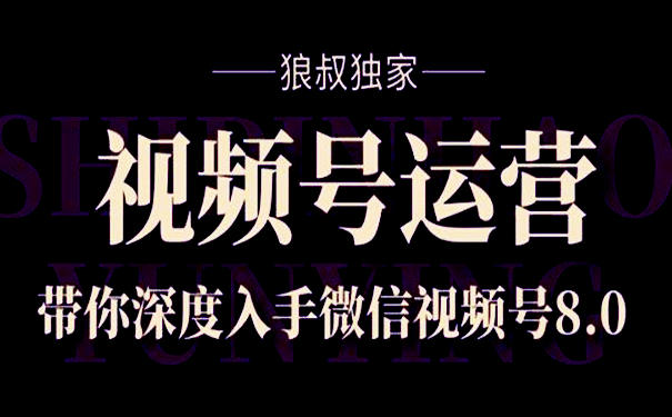 微信视频号运营技巧?狼叔视频号运营实战课 第1张