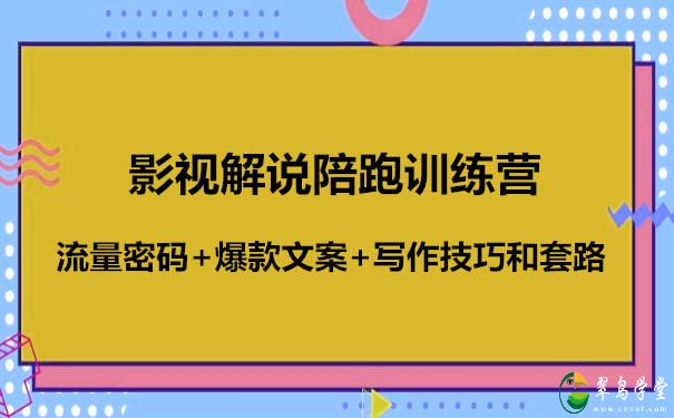 影视解说陪跑训练营(影视解说视频剪辑技巧) 第1张