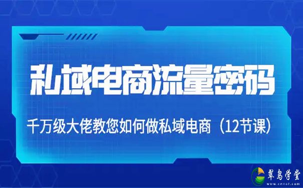 私域电商怎么做才能赚钱？私域电商流量密码 第1张