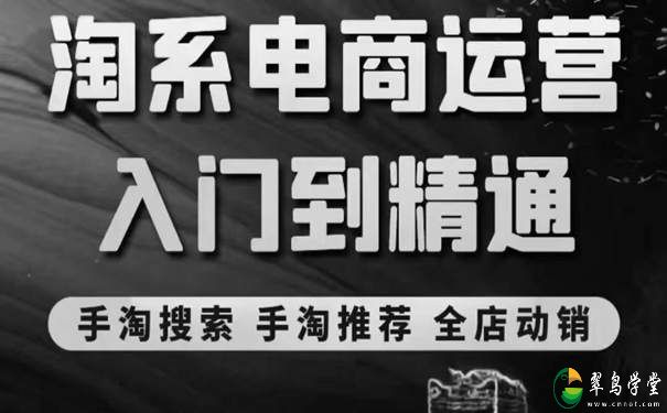 电商运营自学课程：淘系电商入门到精通 第1张