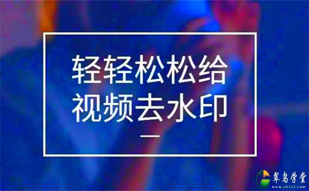 怎么把视频的水印去掉?专业去视频水印教程 第1张