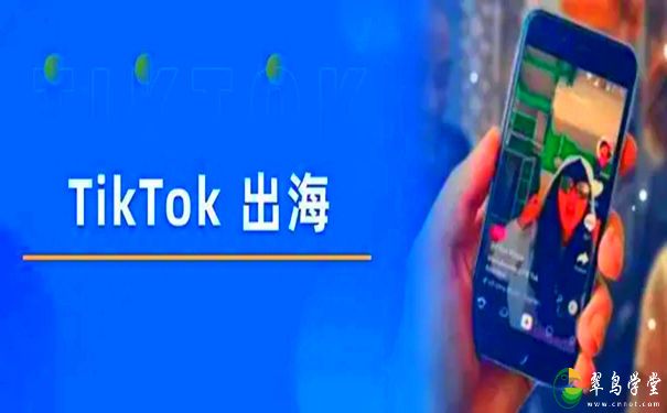 海外tiktok怎么赚钱？TIKTOK网红出海初级课 第1张