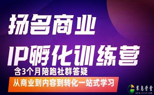 杨名商业IP孵化训练营：完整的短视频运营策略 第1张