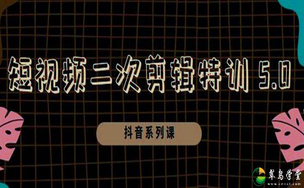 短视频二次剪辑特训5.0教你掌握二次剪辑和混剪技 第1张