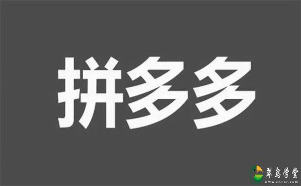 拼多多VIP课程:拼多多搜索3天快速上10分 第1张 拼多多VIP课程:拼多多搜索3天快速上10分 第1张