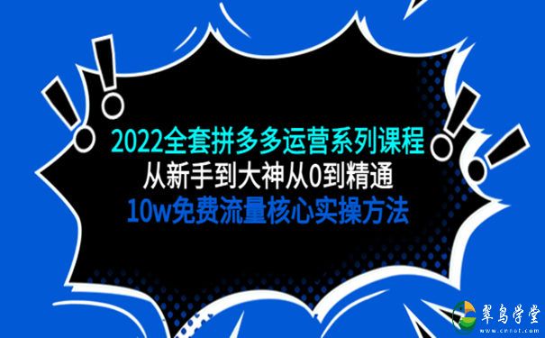 拼多多运营怎么做？妞妞拼多多全套运营系统课程