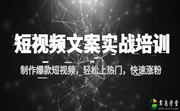 短视频文案实战培训教你轻松快速涨粉 第1张 短视频文案实战培训教你轻松快速涨粉 第1张