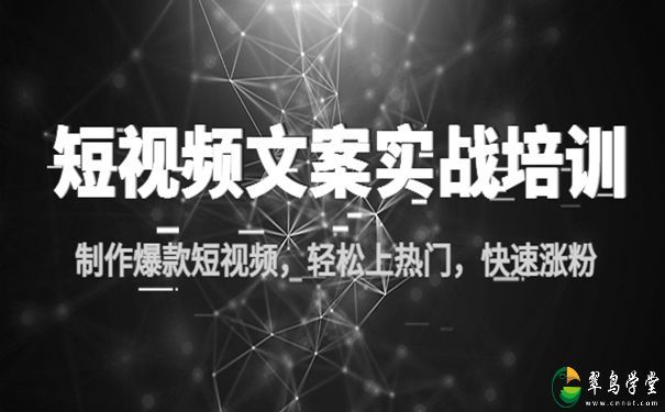 短视频文案实战培训教你轻松快速涨粉 第1张